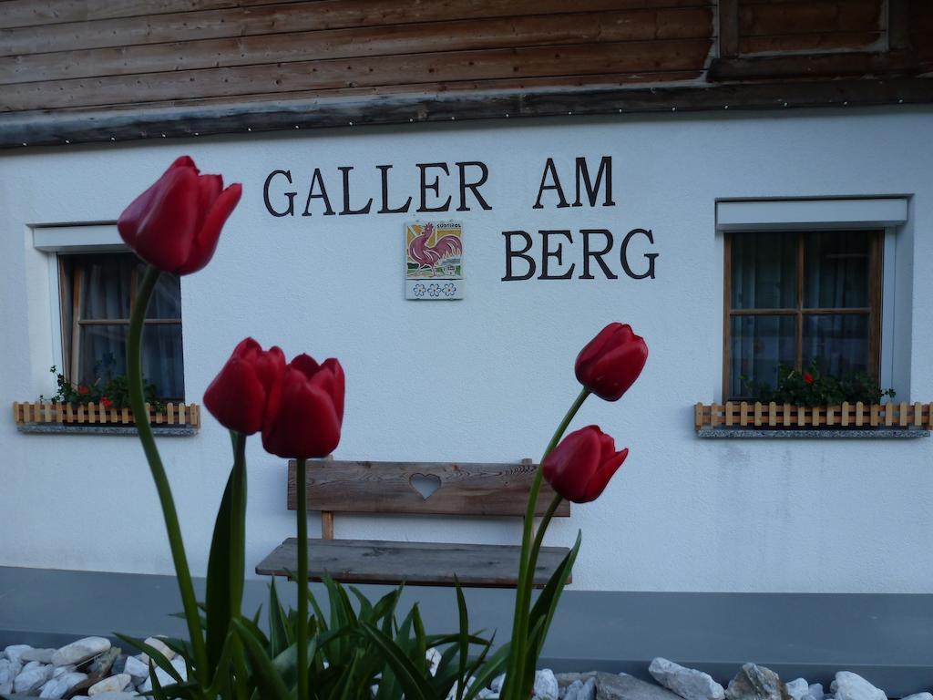 Galler Am Berg San Candido Exterior foto