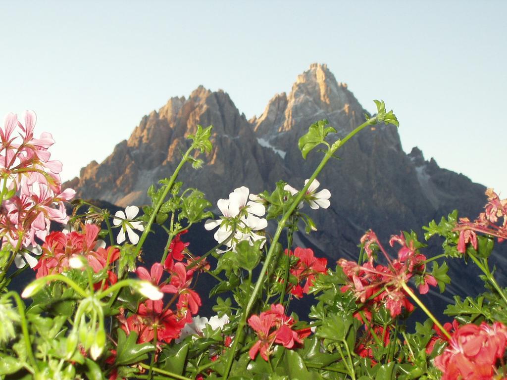 Galler Am Berg San Candido Cameră foto